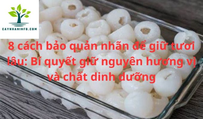 8 cách bảo quản nhãn để giữ tươi lâu: Bí quyết giữ nguyên hương vị và chất dinh dưỡng