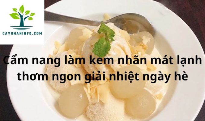 Cẩm nang làm kem nhãn mát lạnh thơm ngon giải nhiệt ngày hè