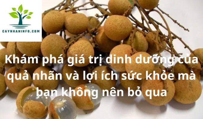 Khám phá giá trị dinh dưỡng của quả nhãn và lợi ích sức khỏe mà bạn không nên bỏ qua