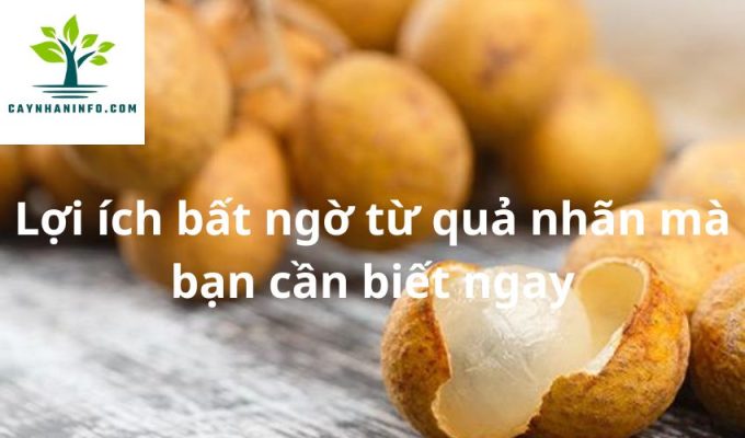 Lợi ích bất ngờ từ quả nhãn mà bạn cần biết ngay