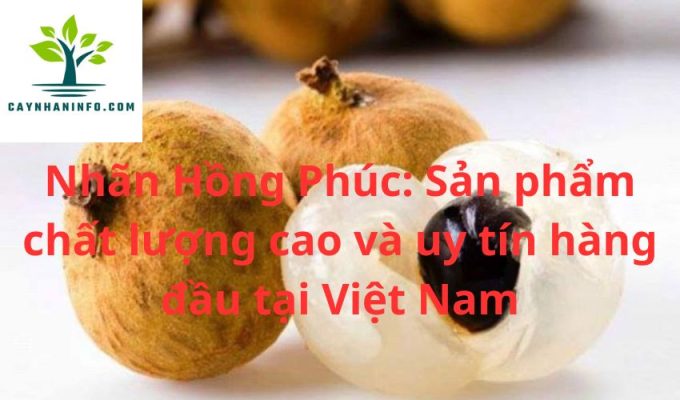 Nhãn Hồng Phúc: Sản phẩm chất lượng cao và uy tín hàng đầu tại Việt Nam