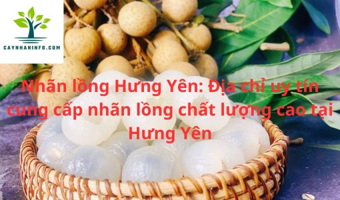 Nhãn lồng Hưng Yên: Địa chỉ uy tín cung cấp nhãn lồng chất lượng cao tại Hưng Yên