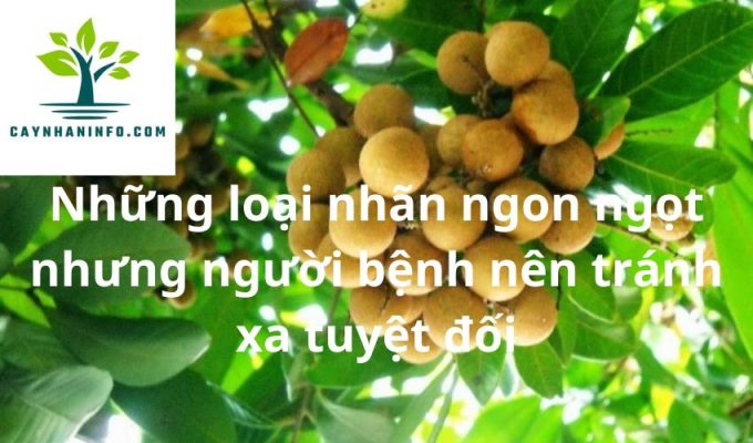 Những loại nhãn ngon ngọt nhưng người bệnh nên tránh xa tuyệt đối