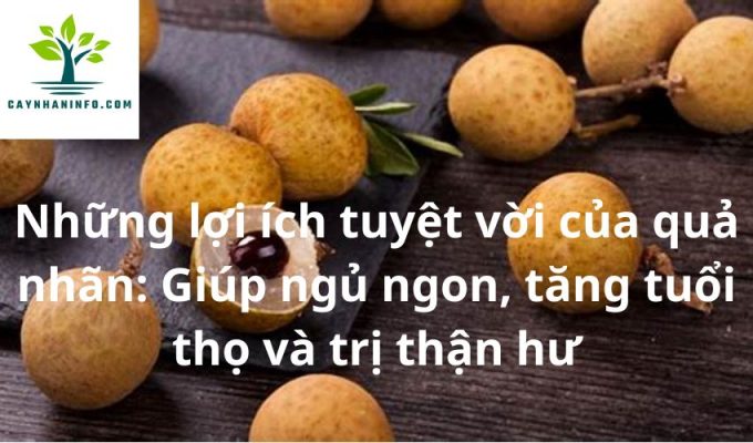 Những lợi ích tuyệt vời của quả nhãn: Giúp ngủ ngon, tăng tuổi thọ và trị thận hư